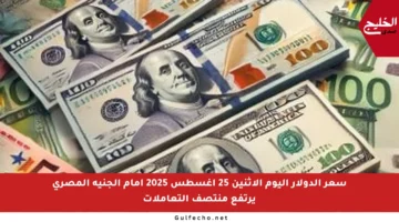 سعر الدولار اليوم الإثنين 25 أغسطس 2025 أمام الجنيه المصري يرتفع منتصف التعاملات